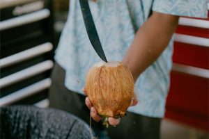 Tropical Farms - Macadamia Nut Farm Oahu. Hawaii Tropical Farms - Macadamia Nut Farm Oahu. Hawaii