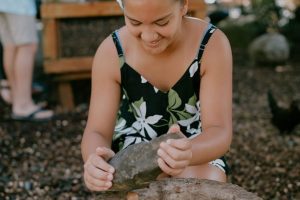 Tropical Farms - Macadamia Nut Farm Oahu. Hawaii