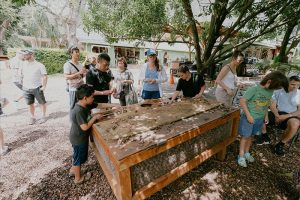 Tropical Farms - Macadamia Nut Farm Oahu. Hawaii