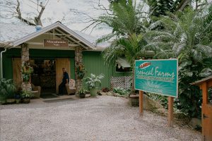 Tropical Farms - Macadamia Nut Farm Oahu. Hawaii