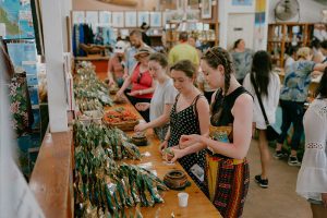 Tropical Farms - Macadamia Nut Farm Oahu. Hawaii