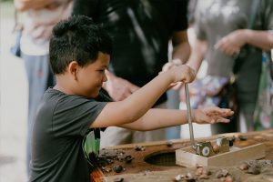 Tropical Farms - Macadamia Nut Farm Oahu. Hawaii