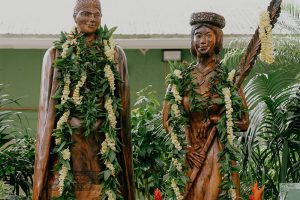 Tropical Farms - Macadamia Nut Farm Oahu. Hawaii Tropical Farms - Macadamia Nut Farm Oahu. Hawaii